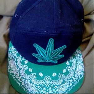 Black Snapback Hat with Green Leaf and Paisley Brim